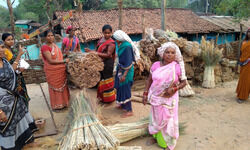 Gatherers to entrepreneur