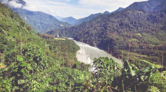 Pandemic result of degradation of natural areas, exploitation