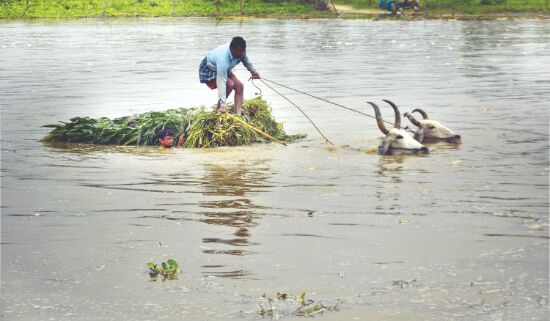 Progress of monsoon over Raj, Hry may be slow: IMD Progress of monsoon over Raj, Hry may be slow: IMD