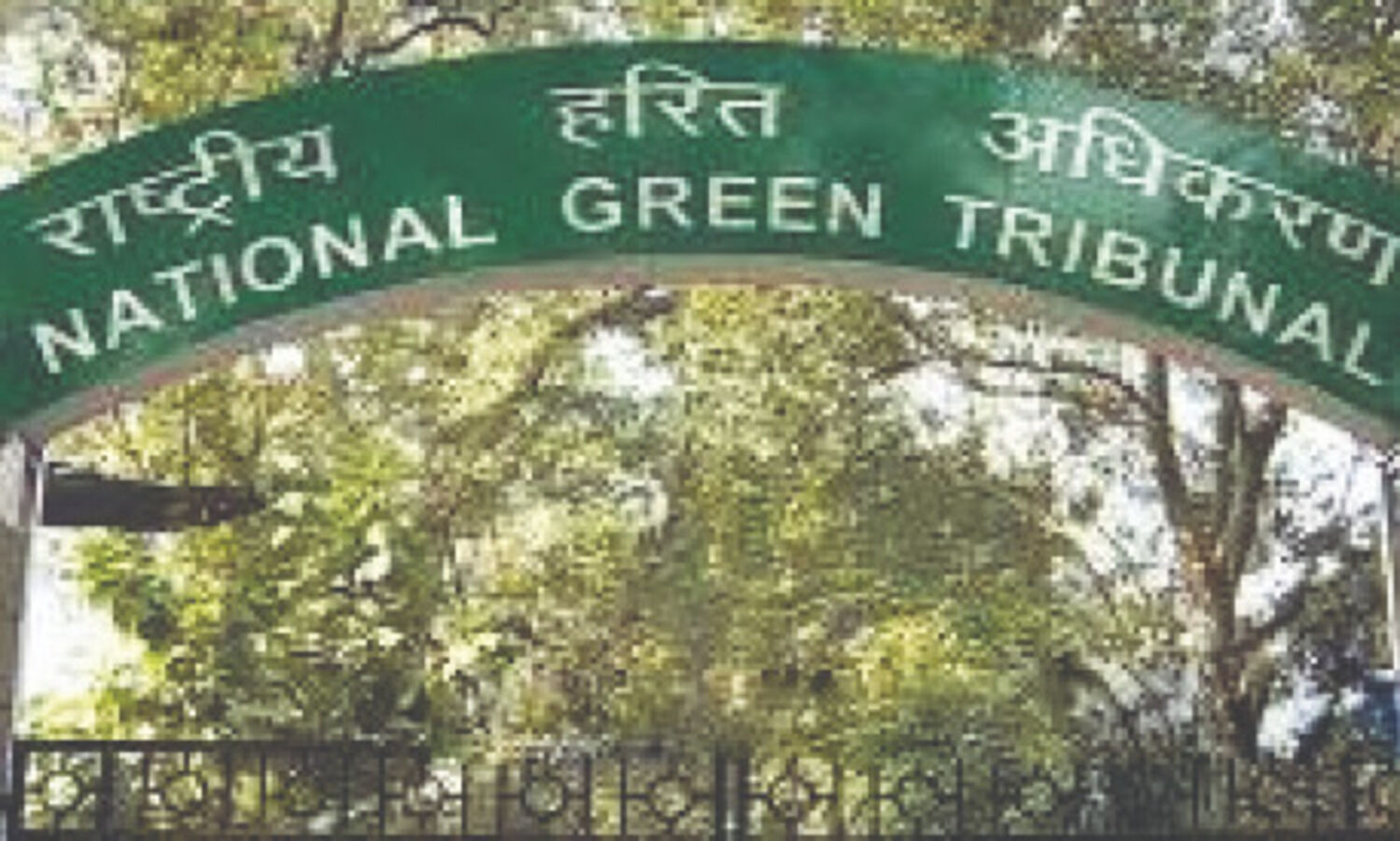 Person undertaking hazardous activities for commercial gains liable for loss: NGT