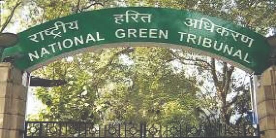 Person undertaking hazardous activities for commercial gains liable for loss: NGT