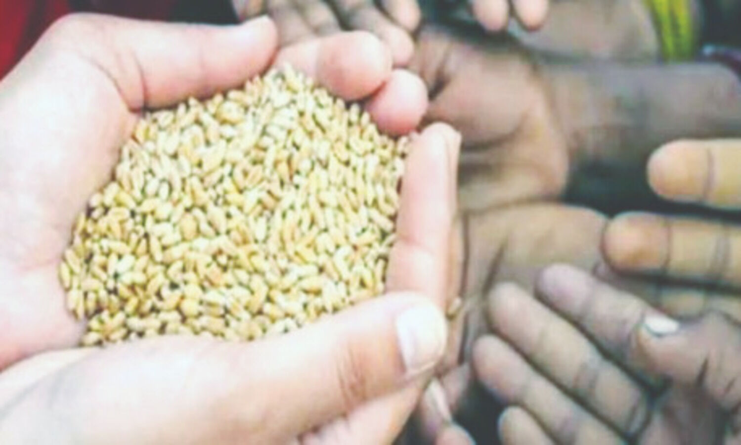 Free foodgrains: Govt to spend Rs 93,869 cr this yr