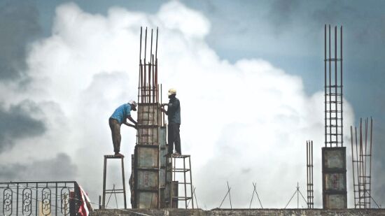 Group housing project will require felling and trimming of 598 trees Group housing project will require felling and trimming of 598 trees