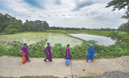 Daily cases dip to 1,595; about 35 deaths logged in past 24 hrs