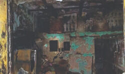 Shahdara: 4 of family killed in cylinder blast, says fire dept