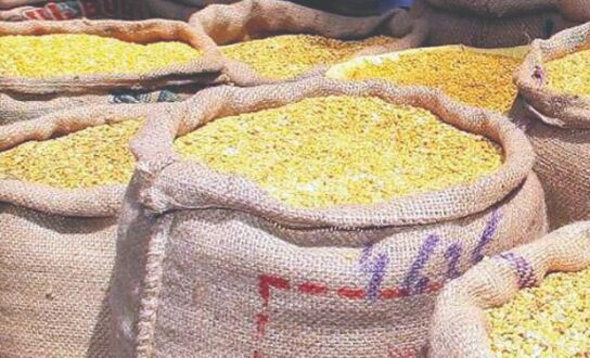Govt imposes stock limits on pulses till Oct to check price rise
