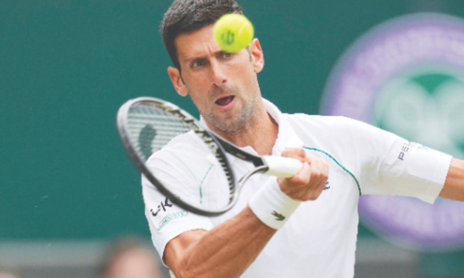 Novak Djokovic joined by parade of newcomers in Wimbledon quarters