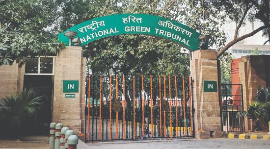Public parks cant be used for social, cultural function: NGT
