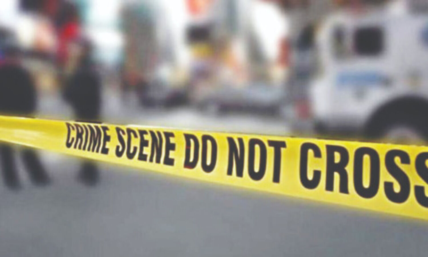 Palam: Mother-son duo bludgeoned to death during robbery bid, womans nephew arrested