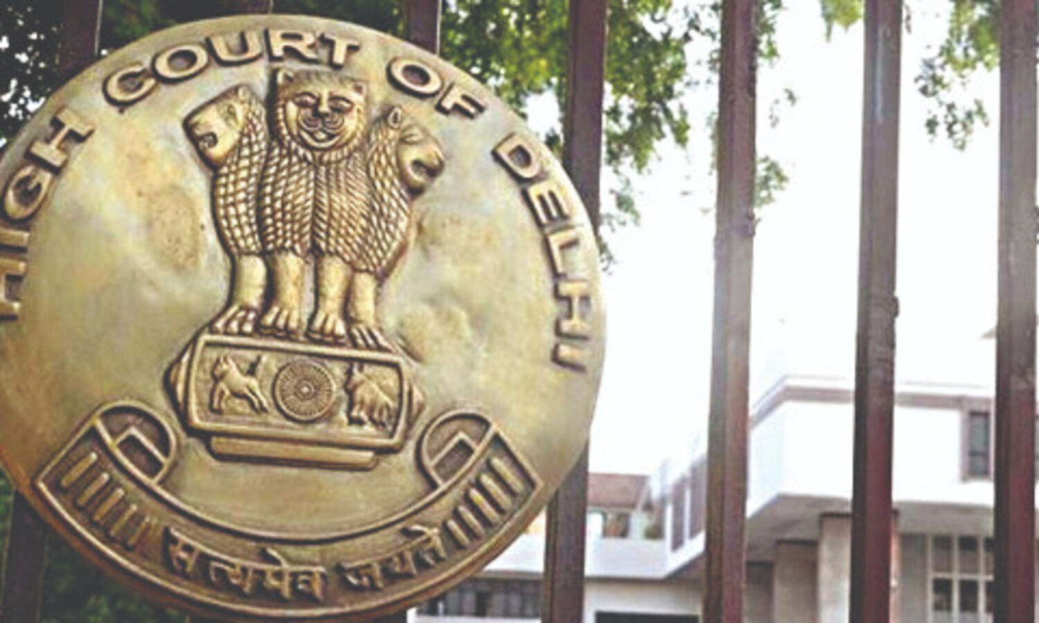 HC asks Centre for report on availability of black fungus drug