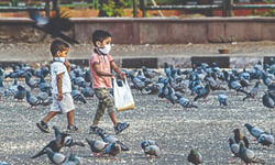 WCD dept issues guidelines to care for street children WCD dept issues guidelines to care for street children