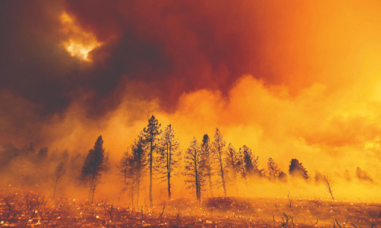 Heat, wind spur California fire; evacuation hits Nevada