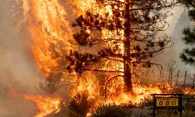 Heat, wind spur California fire; evacuation hits Nevada area