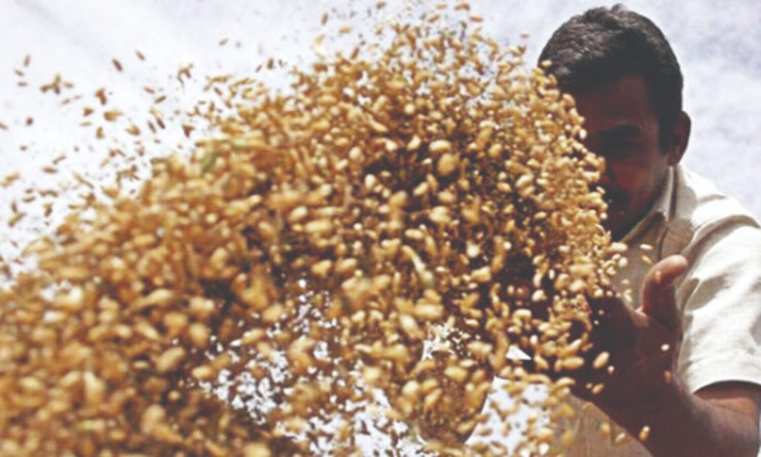 States lift 15.3L tonn foodgrains for free distribution during July-Nov