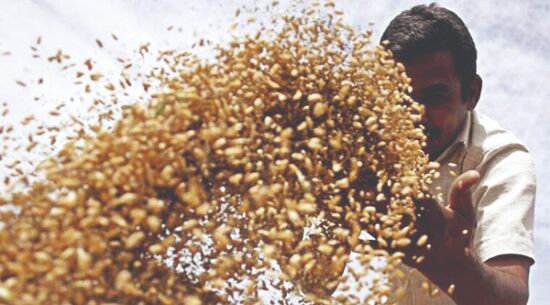States lift 15.3L tonn foodgrains for free distribution during July-Nov