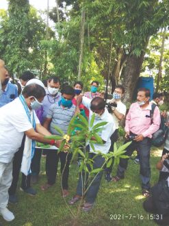 About 15 cr mangrove saplings to be planted