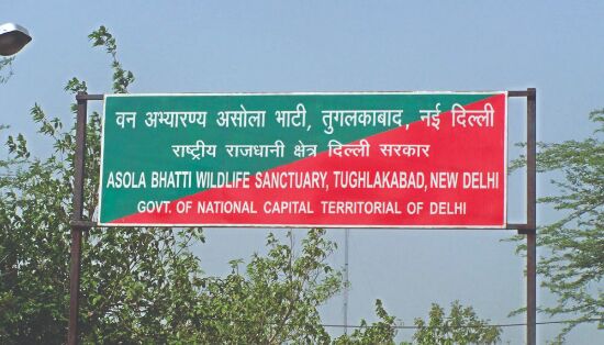 Act upon illegal liquor vends around   Asola Bhatti sanctuary: Delhi to Hry