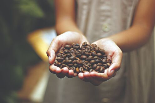 Indias coffee exports witnessing decline, hit 9-yr low in FY20 Indias coffee exports witnessing decline, hit 9-yr low in FY20