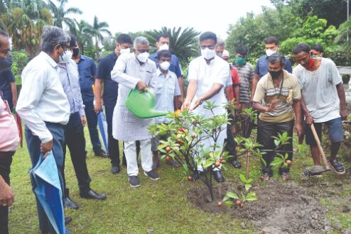 Green step: Hakim inaugurates Kalpavriksha Green step: Hakim inaugurates Kalpavriksha