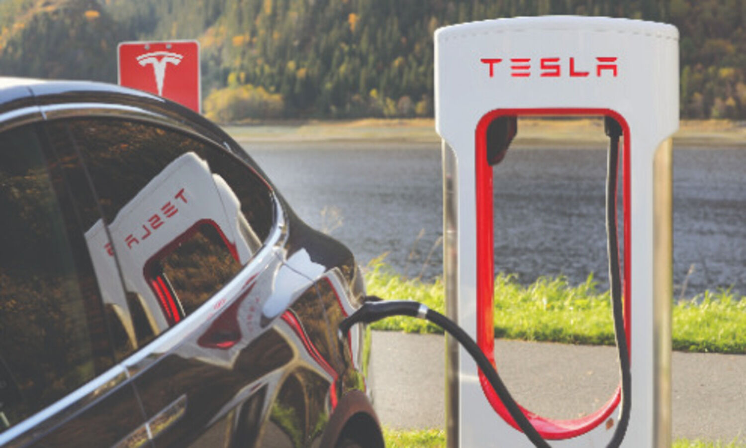 Nearly 90% Indian buyers willing   to pay premium for purchasing EV