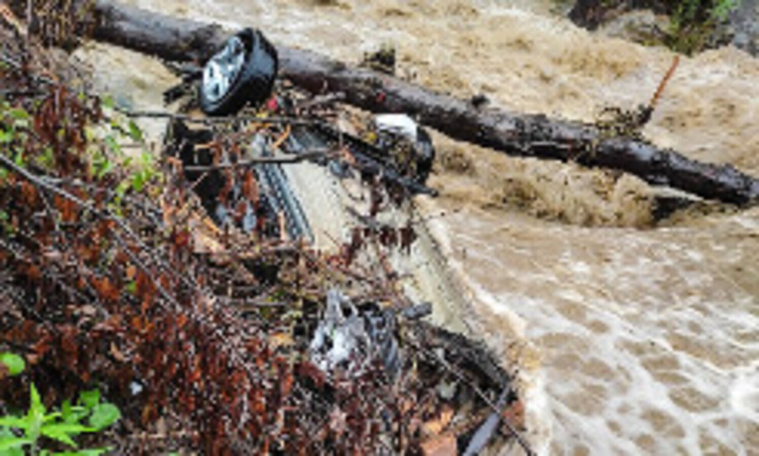 At least 9 dead, 7 missing in flash floods triggered by heavy rainfall in HP