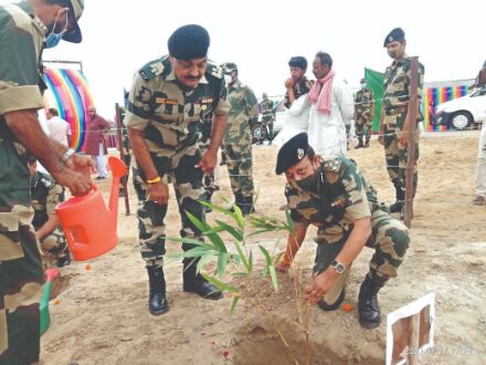 KVIC and BSF plant 1,000 saplings in Jaisalmers Tanot village KVIC and BSF plant 1,000 saplings in Jaisalmers Tanot village