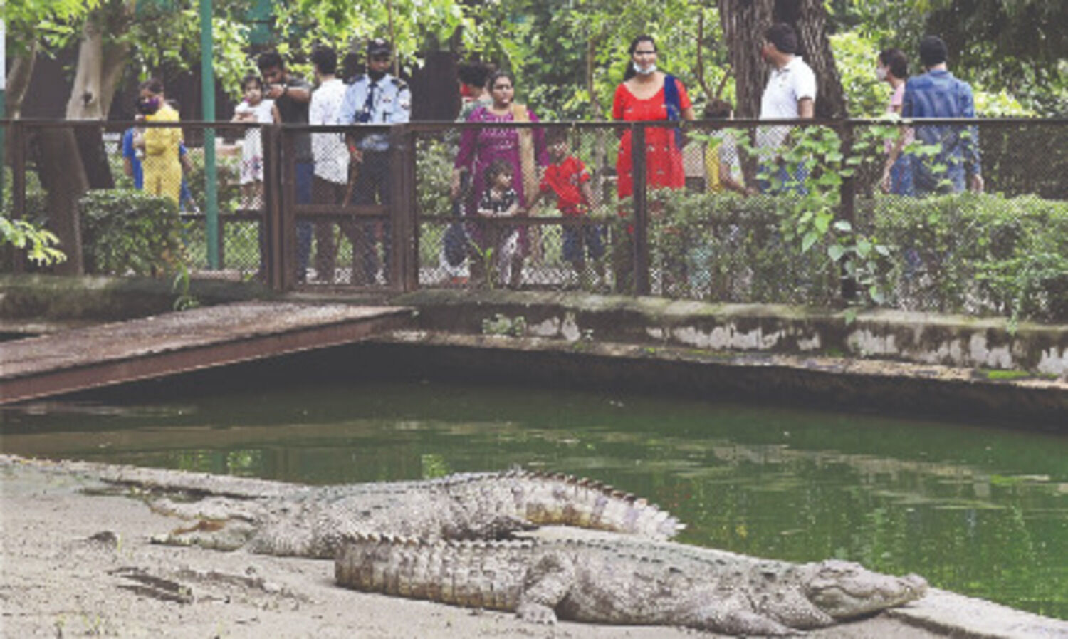 Delhi zoo reopens for public after being temporarily shut during Covid 2nd wave