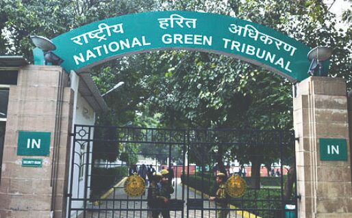 SC stays NGT order prohibiting social functions in public parks SC stays NGT order prohibiting social functions in public parks