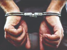 Timber smuggling: 2 Central govt officers & 5 others held Timber smuggling: 2 Central govt officers & 5 others held