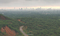 Ggms construction waste still being dumped in Aravallis