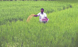 Panagarh Industrial Park: State takes initiative to resolve farmers grievances