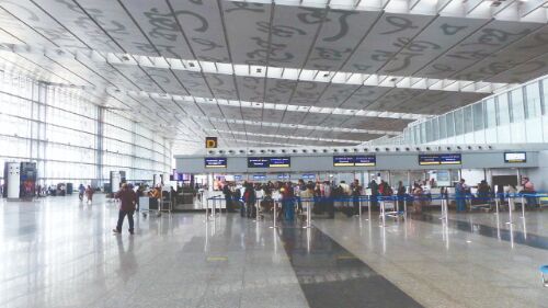 Panic at Kol airport after snake is spotted Panic at Kol airport after snake is spotted