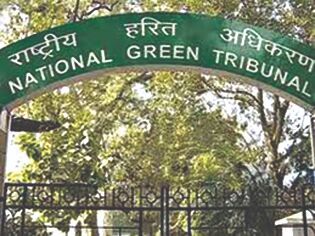 NGT slams UPPCB for not taking action against petha industries causing pollution NGT slams UPPCB for not taking action against petha industries causing pollution