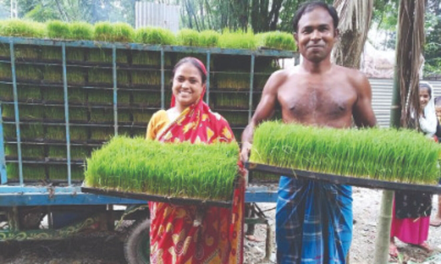 Boost to livestock sector: State takes up 14 hydroponic fodder cultivation projects