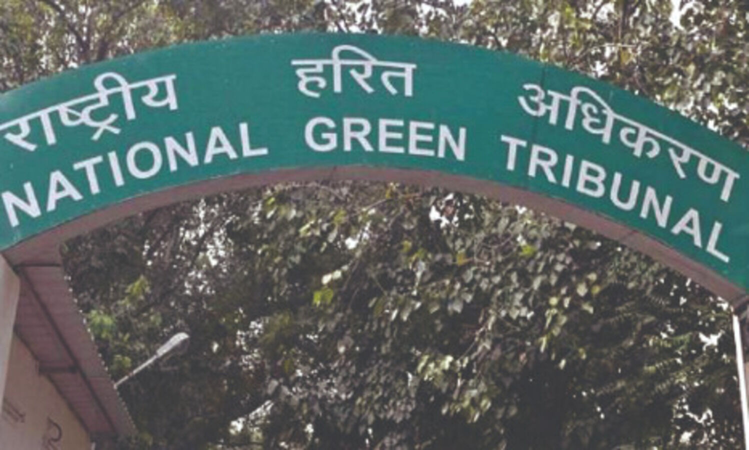 NGT now directs MCG to take action   against encroachment in Palam Vihar