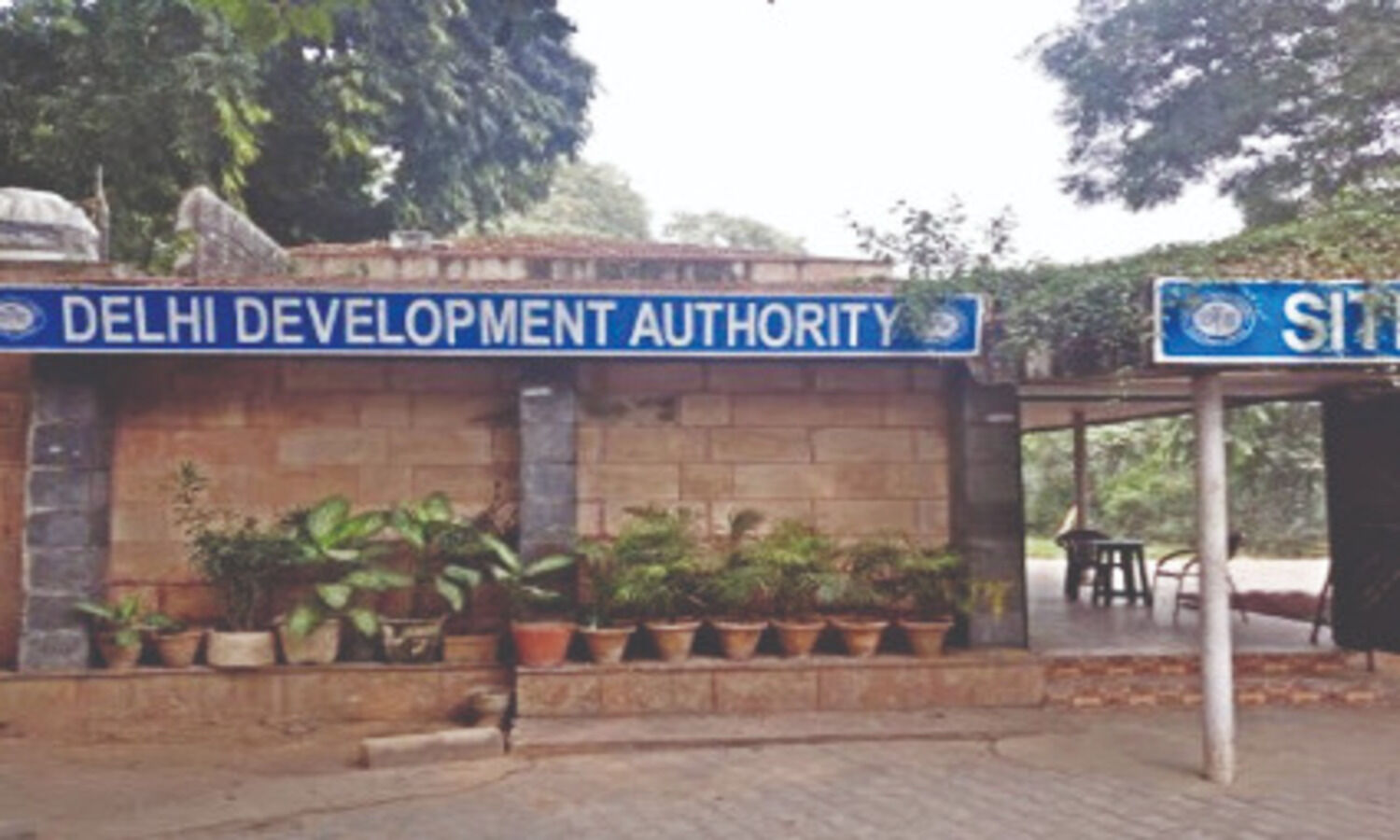 DDA to Centre: Can we  compensate for trees   cut here in other states?