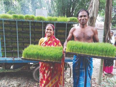 Boost to livestock sector: State takes up 14 hydroponic fodder cultivation projects