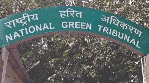 NGT now directs MCG to take action   against encroachment in Palam Vihar