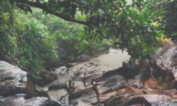 States initiative helps Dhangikusum become a major tourist destination