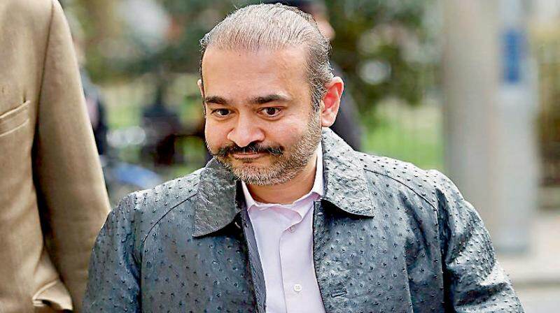 UK High Court grants Nirav Modi permission to appeal on depression, suicide risk grounds