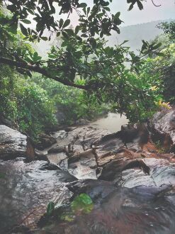 States initiative helps Dhangikusum become a major tourist destination