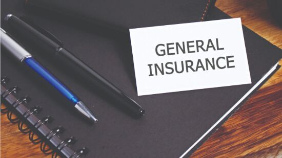 RS passes Bill to privatise state-run general insurance cos