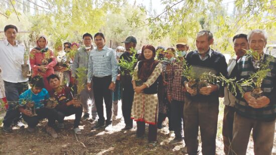 KVIC planting bamboo saplings in Leh-Ladakh