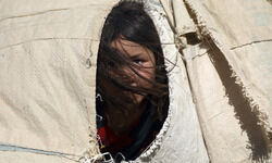 End gendered enslavement