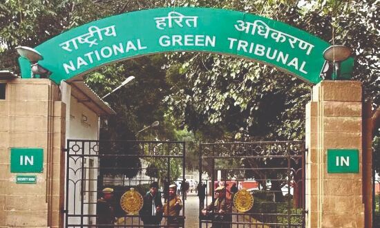 High time legacy waste sites cleared, garbage disposed scientifically: NGT