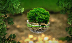 Retaining the nature linkage Retaining the nature linkage