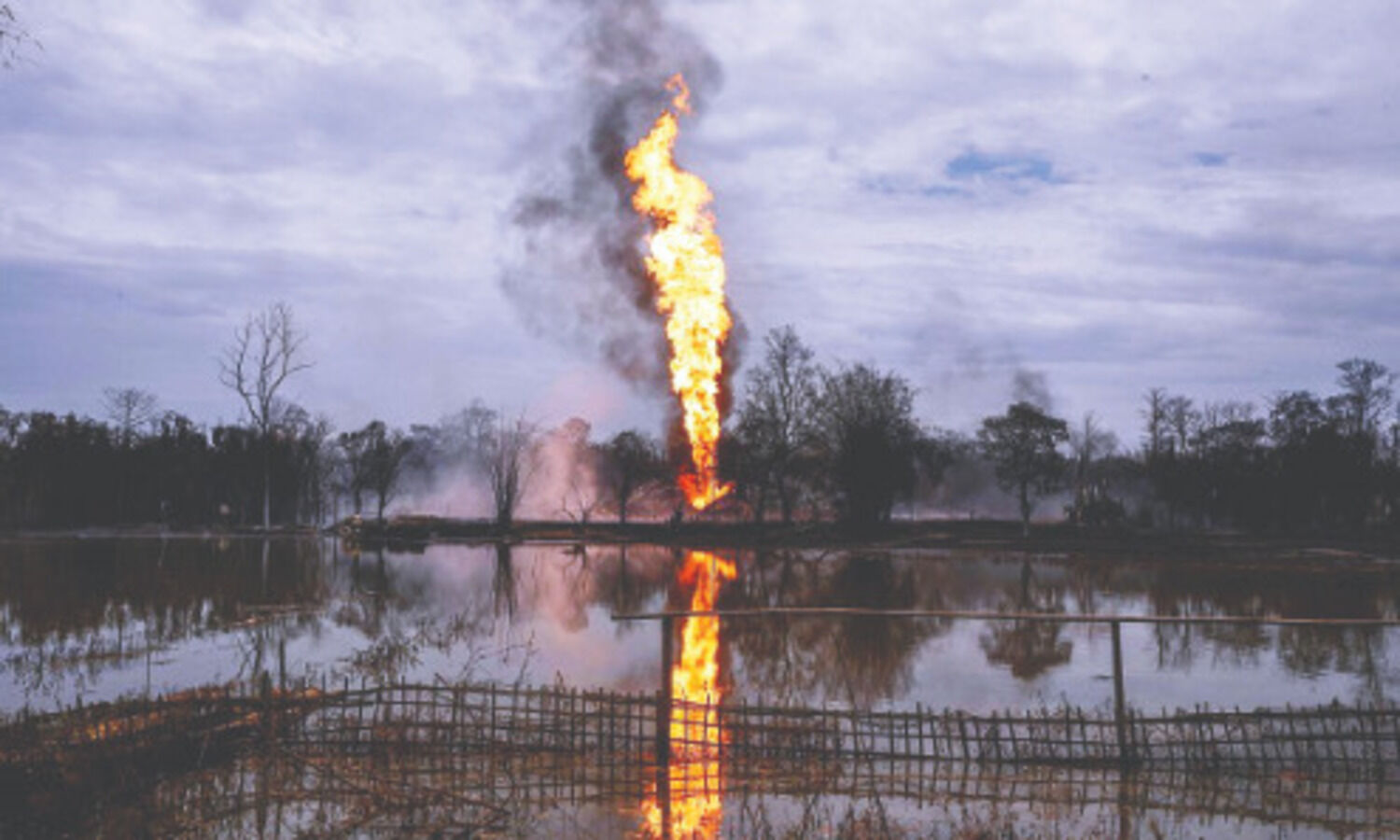 OIL cant be judge in its own cause, will recreate panel: SC