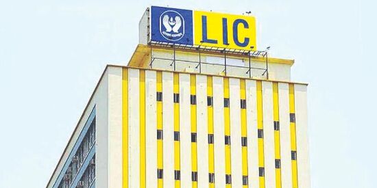 16 merchant bankers in race to manage LIC IPO