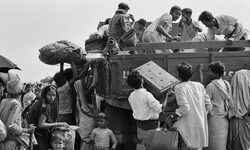 Unveiling dark shades