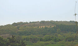 Ggm: Residents protest against forced evictions at SDMs office Ggm: Residents protest against forced evictions at SDMs office